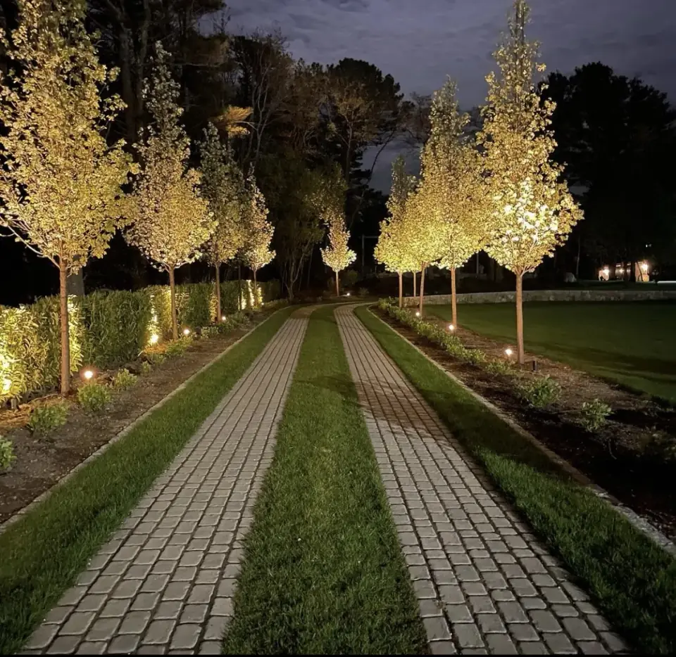 Outdoor Lighting
